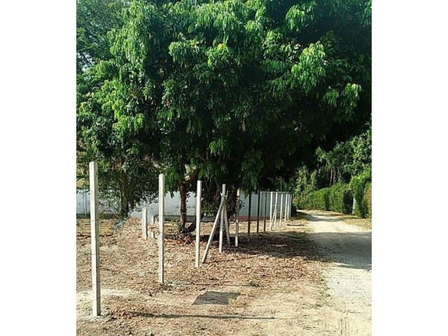 ขายที่ดินตำบลน้ำแพร่หางดงห่างถนนคันคลองเพียง 150เมตร