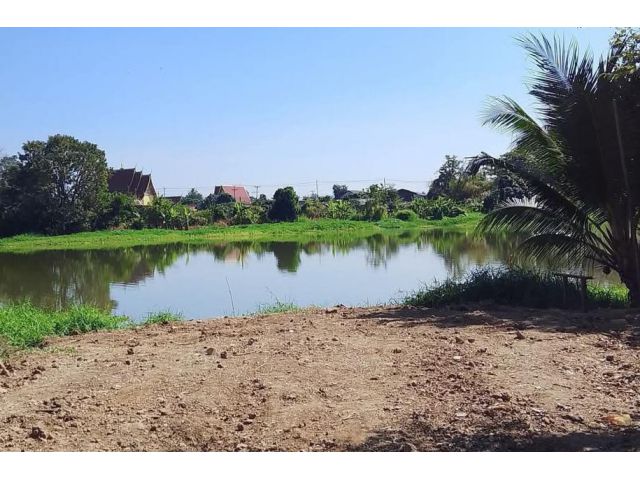 ขายที่ดินติดน้ำปิงบ้านแม่ก๊าสันป่าตองบ้านโรงวัวพร้อมโอน