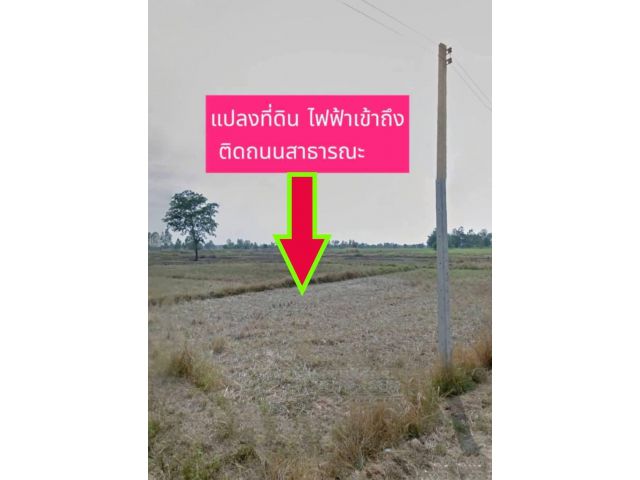 ขายที่ดิน บ้านหนองนกวัก อำเภอจักราชจังหวัดนครราชสีมา