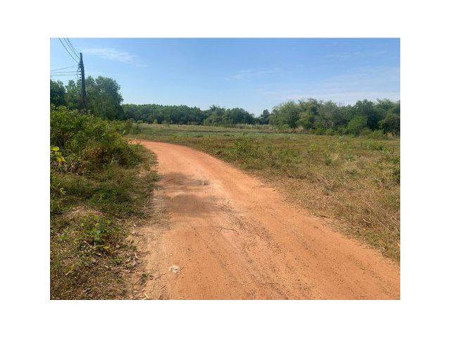 ขายที่ดิน 9 ไร่ ติดถนนสองด้าน ต.ประจันตคาม อ.ประจันตคาม จ.ปราจีนบุรี