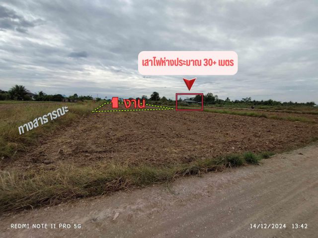 ขายที่ดิน ที่นา 1 งาน วัดพริก พิษณุโลก