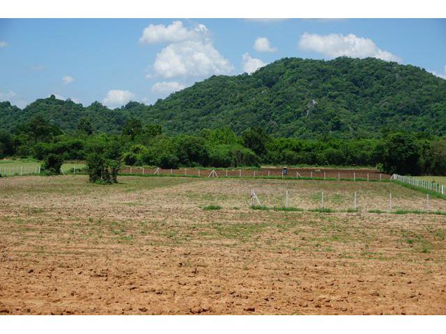 ขายที่ดิน 4 ไร่ ใกล้สถานปฏิบัติธรรมเจ้าคุณเฉลา อำเภอเฉลิมพระเกียรติ สระบุรี โทร.093-441-5691