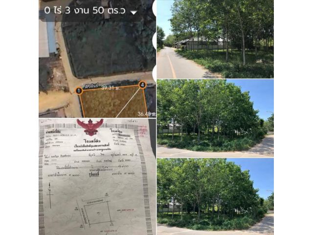#A0221	สวนยาง	ต.คลองแห	อ.หาดใหญ่	ติดถนน	สายรอง	หน้ากว้าง	41 เมตร	พื้นที่	3 งาน  42 ตรว.