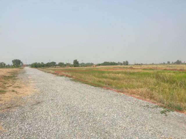 ที่ดิน1ไร่3งาน50ตรว. ราคาถูก อำเภอเมืองสุพรรณบุรี