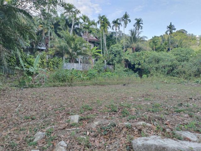** LAND FOR SALE PHUKET ** ( 0-0-75.8 ไร่ ) บรรยากาศดี ล้อมด้วยเขา