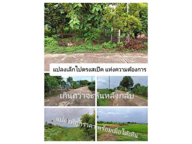 เสนอคำว่าที่ดิน เป็นทรัพย์สินที่อยู่อาศัยที่ใครๆก็ใฝ่หา ด้วยราคาตอบสนองความต้องการเป็นอย่างดีในราคาเดิม มีแต่ได้ไม่มีลบ