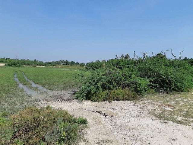 ขายที่ดินหลายแปลง5,2,4,7และ18ไร่ใกล้ทะเลหาดเจ้าสำราญจ.เพชรบุรี