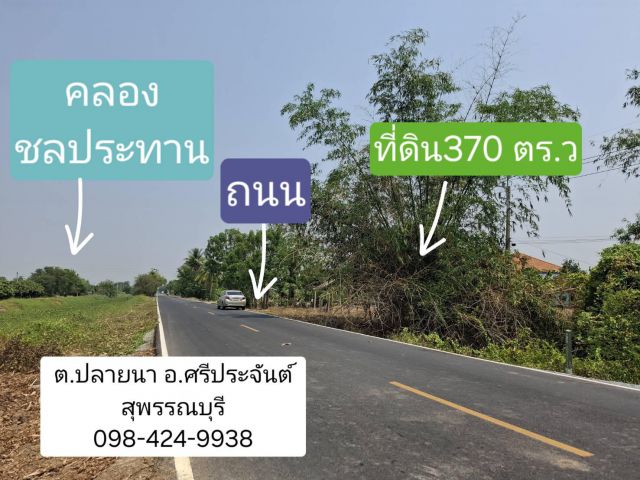 ที่ดิน 3 งาน 70 ตร.ว ติดถนน ถมแล้ว  พร้อมสวนมะม่วงน้ำดอกไม้ มาทำต่อได้เลย ต.ปลายนา อ.ศรีประจันต์ จ.สุพรรณบุรี