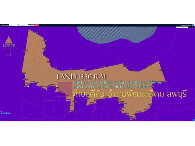 ขายที่ดิน1350ไร่ พื้นที่สีม่วง ถนนสาธารณะ ตำบล ดีลัง อำเภอพัฒนานิคม ลพบุรี