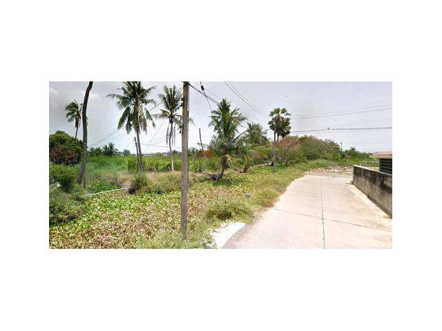 ขายที่ดิน 8 ไร่ พุทธมณฑลสาย5 อ.สามพราน จ.นครปฐม