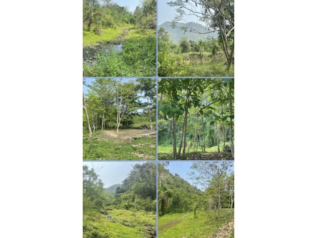 ที่ดินลำธาติดภูเขา
