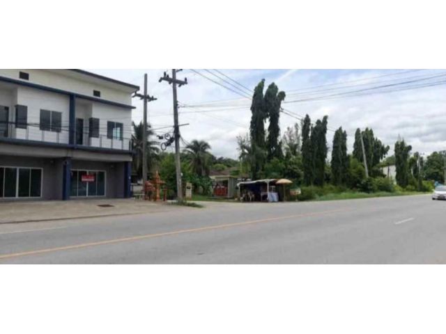 ขายที่ดินตำบลสง่าบ้านดอยสะเก็ตห่างถนนหลักเพียง 100เมตร