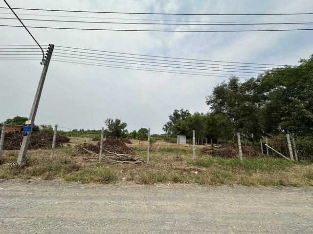 ขายที่ดิน ถมแล้ว ต.หนองสามวัง อ.หนองเสือ ปทุมธานี ใกล้วัดป่าคลอง