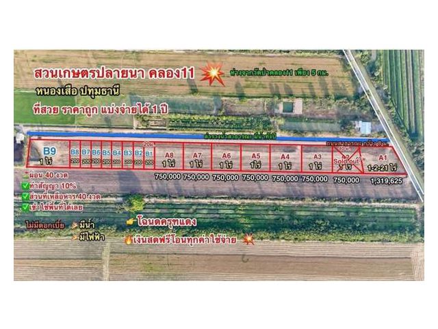 ที่ดินสวนเกษตร ปลายนาร่วมฤดี คลอง11 หนองเสือ สด ผ่อน- T.062-1574449