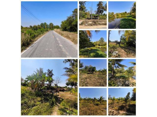 ขายที่ดินพร้อมสวนมะพร้าว บ้านโสกน้ำขาว ต.หนองไฮ อำเภอเมืองอุดรธานี
