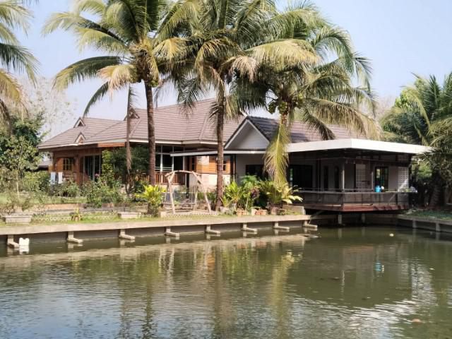ที่ดินสวนพร้อมบ้าน 9 ไร่ แถมราชพัสดุ 5 ไร่ แม่แฝก ใกล้แหล่งท่องเที่ยว