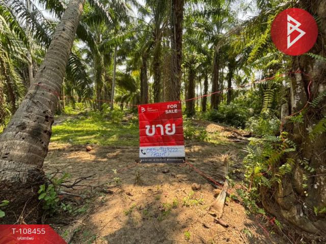 ขายที่ดินชายทะเล เนื้อที่ 4 ไร่ บางสะพาน ประจวบคีรีขันธ์