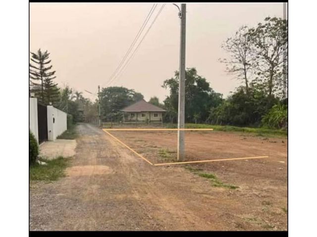 ขายที่ดินตำบลแม่ปูคาสันกำแพงโฉนดพร้อมโอน