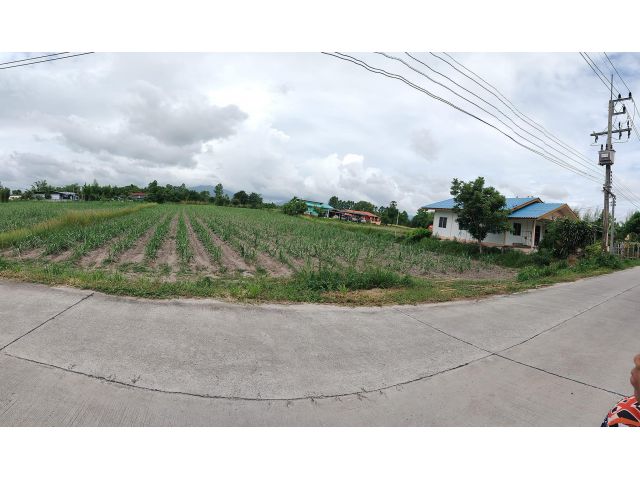 ขายที่ดินหนองหงษ์ หนองกาน้ำ 3 ไร่ ติดถนนคอนกรีต ใกล้ถนนสี่เลน3023-800เมตร อ.พานทอง ชลบุรี