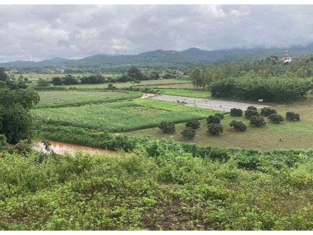 ขายที่ดินเชียงดาวบ้านทุ่งข้าวพวงติดน้ำปิงยาว 170 เมตร