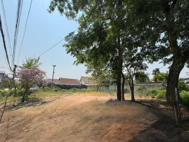 ขายที่ดินตำบลหนองหอยติดริมน้ำโฉนดพร้อมโอน