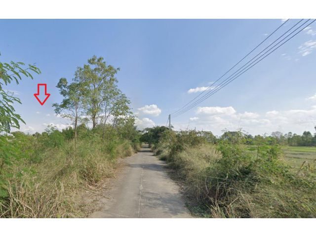 ขายที่ดิน 112 ตร.ว. ใกล้ ถนน 1317 และ ม.มหามกุฏราชวิทยาลัย วิทยาเขตล้านนา 2