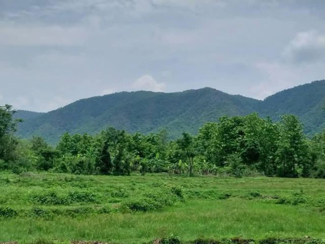 ขายที่ดินตำบลแม่ออนออนกลางวิวดอยโฉนดพร้อมโอน