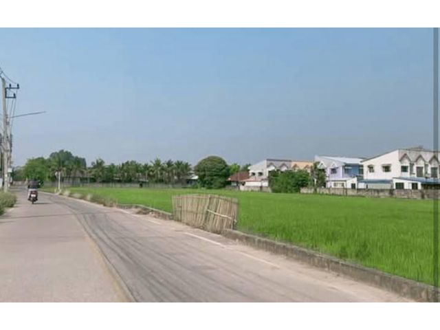 ขายที่นาตำบลสันผักหวานติดถนนสองด้านโฉนดพร้อมโอน