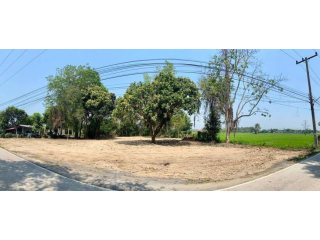 ขายที่ดินติดถนนหน้ากว้างสง่าบ้านดอยสะเก็ตค้าขายได้