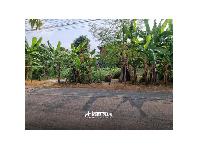 เช่าที่ดินซอยลำลูกกา35 (รถไฟฟ้าสายสีเขียวสถานีคูคต) อำเภอธัญบุรี ปทุมธานี เนื้อที่ 60 ตารางวา