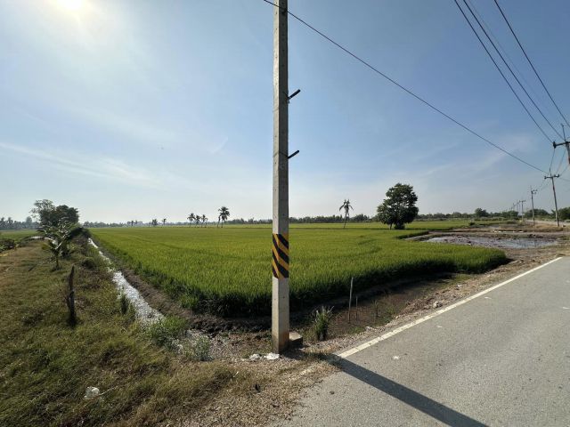 ขายที่นาคลองอุดมชลจร 30 ไร่ ติดถนนลาดยาง ใกล้ตลาดปองพล - 11 กม. เมืองฉะเชิงเทรา