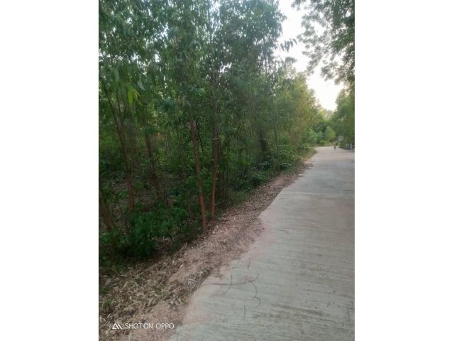 ขายที่ดิน20ไร่2งาน