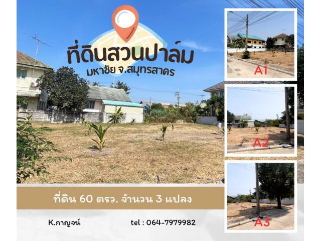 ขายที่ดินหมู่บ้านสวนปาล์ม เนื้อที่ดิน 60 ตรว.