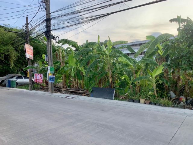 ขายที่ดิน178ตรวา ดอนเมือง สรงประภาเชื่อมต่อเตชะตุงคะ ติดถ.คอนกรีตทำใหม่ ใกล้รถไฟฟ้าสีแดง