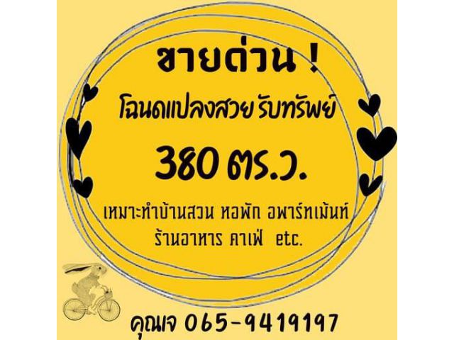 ขายด่วน! ! โฉนดแปลงสวยรับทรัพย์ 380 ตร.ว. อำเภอเมืองนครราชสีมา โทร 0659419197