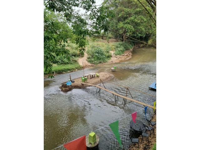 ขายที่ดินบ้านแมสันป่าตองติดน้ำแม่ขานบ้านฉิมพลีพร้อมโอน
