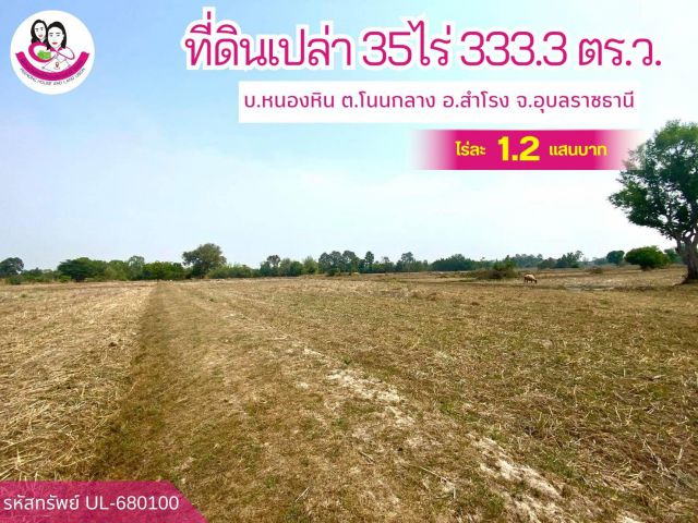 ขายที่ดินไร่นา 35 ไร่ 3 งาน 33.3 ตารางวา ติดคลองเจิก
