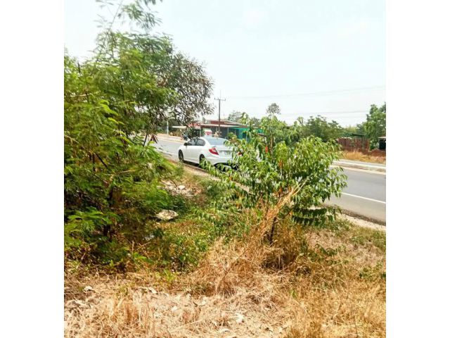 ที่ดินทำเลดี ติดถนนสี่เลนสายหลัก นางรอง-ลำปลายมาศ บุรีรัมย์