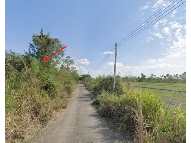 ขายที่ดิน สันกำแพง 113 ตร.ว. ใกล้ถนนหมายเลข 1317 และหมู่บ้านกาญจน์กนก 1