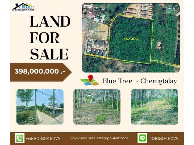 ** LAND FOR SALE *  15-3-67.7 ไร่  ( หลังสวนน้ำบลูทรี - เชิงทะเล )