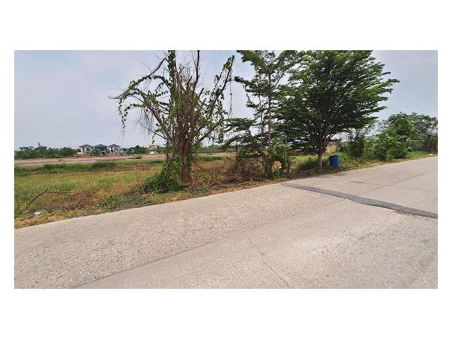ขายที่ดิน 400 ตร.ว.ซอยบงกช 50 ต.คลองสอง อ.คลองหลวง จ.ปทุมธานี