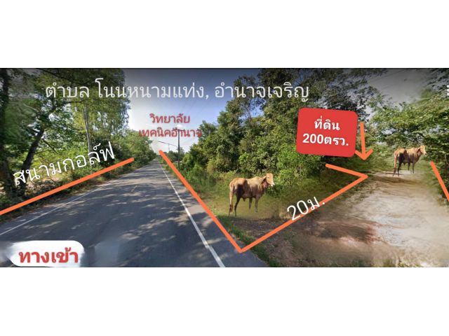 ถูกๆ ถูกๆ ถูกๆ  ที่ดินหน้าวิทยาลัยเทคนิคอำนาจเจริญ ราคาหลักแสน