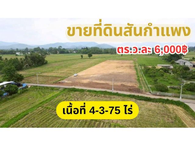 #ขายที่ดินสันกำแพง ใกล้ที่ว่าการอำเภอสันกำแพง เนื้อที่ 4-3-95 ไร่ วาละ 6,000 บ.