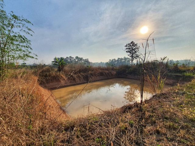 ที่สวยภูเรือ โฉนดพร้อมโอน ไร่ละ 250000 ดินดำ น้ำดี ใกล้ชุมชนเดินทางสะดวก โฉนด บรรยากาศดี