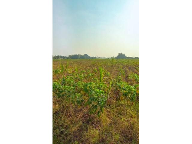 ขายที่ดินหนองบอนแดงบ้านบึงชลบุรี  608  ไร่