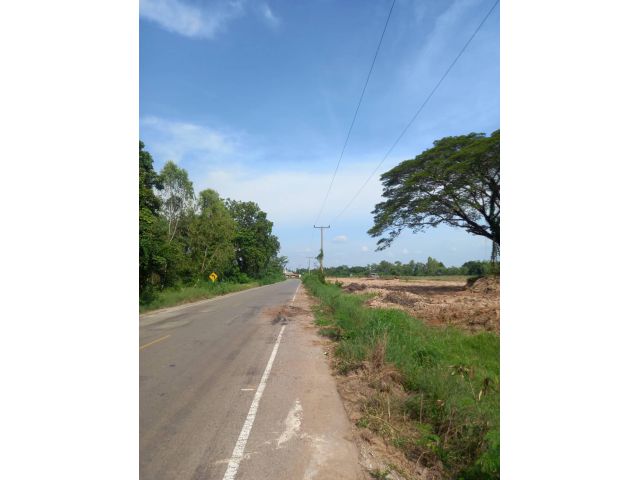 ให้เช่าหรือขาย ที่ดินสวยติดถนนลาดยาง บ้านค้อ ไฟฟ้าผ่าน มีลำคลองขนาดใหญๆเหมาะกับะุรกิจและการเกษตร