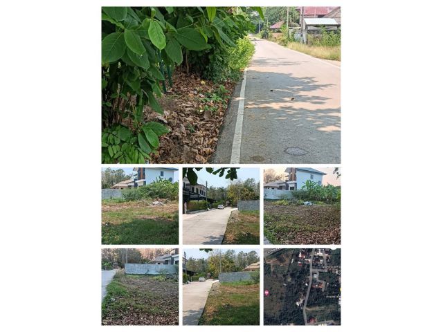 ขายที่ดินตำบลหนองผึ้งสารภีติดถนนสองด้านหลัง ธอส สารภีพร้อมโอน