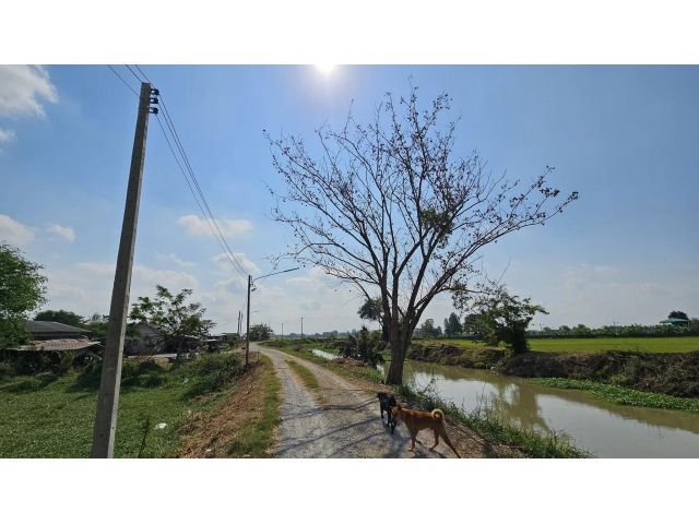 ขายที่ดินใกล้ตัวเมืองสุพรรณติดถนนคันคลอง ใกล้ถนนมาลัยแมน(321) 2งาน70ตารวงวา