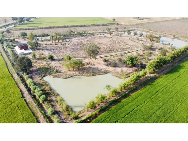 (ขายด่วนสุดๆ)สวนผสมโคกหนองนา 11ไร่ ขายยกแปลง 4,500,000บาท เจ้าของออกค่าโอนให้ราคาต่อรอง