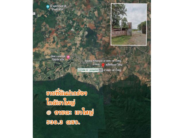 ขายที่ดินเขาใหญ่ ขายที่ดินปากช่อง หมูสี โครงการอายตะ 530.3 ตรว.